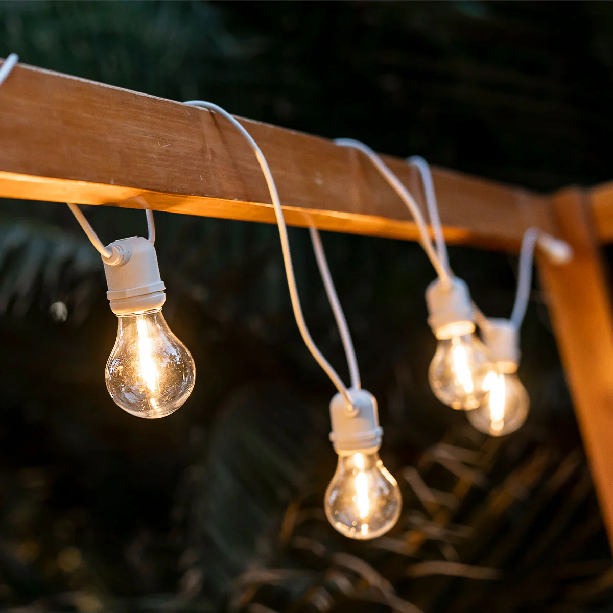 Imagen del producto 17